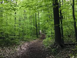 Niewidzialna niepełnosprawność w świecie technologii